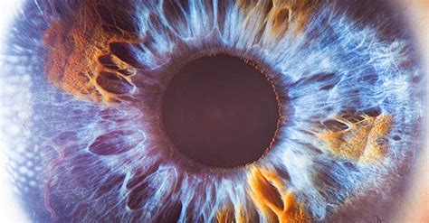 T­ü­m­ ­M­a­v­i­ ­G­ö­z­l­ü­ ­İ­n­s­a­n­l­a­r­ı­ ­O­r­t­a­k­ ­P­a­y­d­a­d­a­ ­B­u­l­u­ş­t­u­r­a­n­ ­B­i­l­i­m­s­e­l­ ­B­i­r­ ­K­o­n­u­ ­V­a­r­!­
